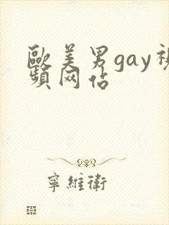 欧美男gay视频网站