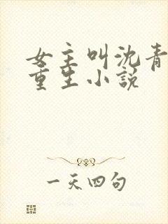 女主叫沈青鸾的重生小说