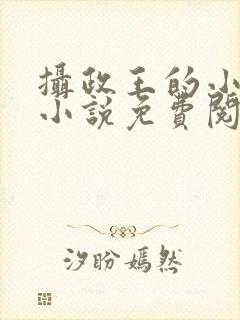 摄政王的小闲妻小说免费阅读