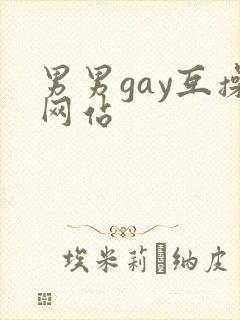 男男gay互操网站