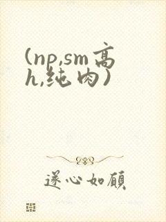 (np,sm高h,纯肉)