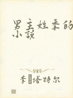 男主姓季的所有小说