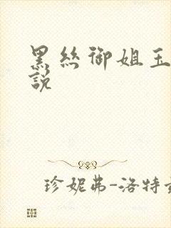 黑丝御姐玉足小说封面