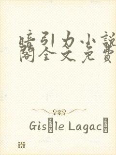 暗引力小说笔趣阁全文免费无弹窗
