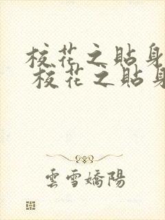 校花之贴身高手 校花之贴身高手