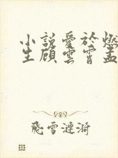 小说爱于燃尽新生顾云霄孟卿月在线阅读封面