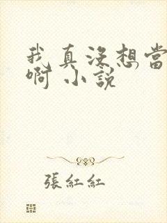 我真没想当皇帝啊 小说