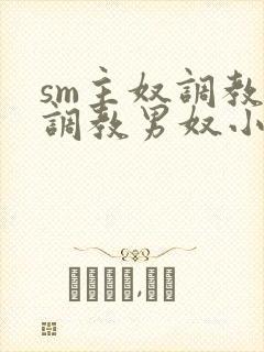 sm主奴调教:调教男奴小说