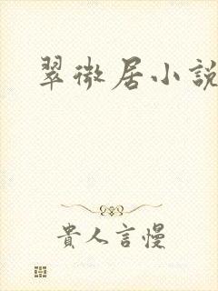 翠微居小说封面