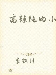 高辣纯肉小说