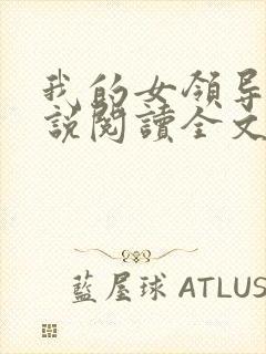 我的女领导们小说阅读全文