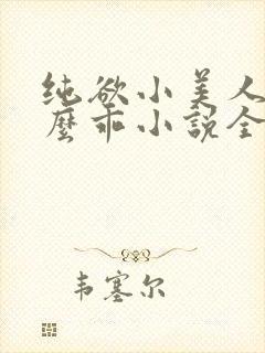 纯欲小美人他那么乖小说全文阅读