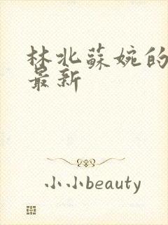 林北苏婉的小说最新