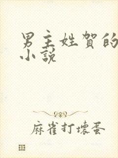 男主姓贺的豪门小说