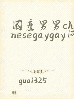 国产男男chinesegaygay网站