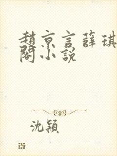 赵京言薛琪笔趣阁小说