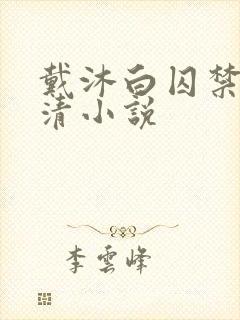 戴沐白囚禁朱竹清小说封面