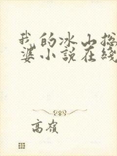 我的冰山总裁老婆小说在线阅读