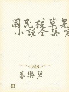 国民校草是女生 小说全集完整版txt