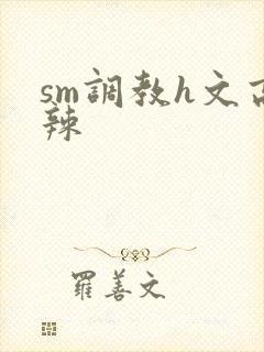 sm调教h文高辣