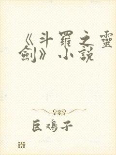 《斗罗之灵珠神剑》小说