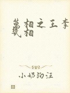 万相之王李洛有几相