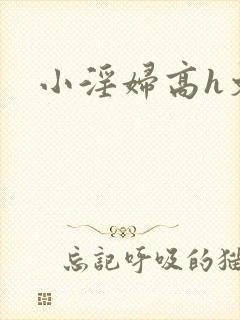 小淫妇高h文
