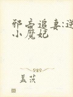 邪帝追妻:逆天小魔妃