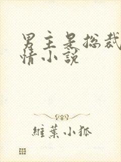 男主是总裁的言情小说