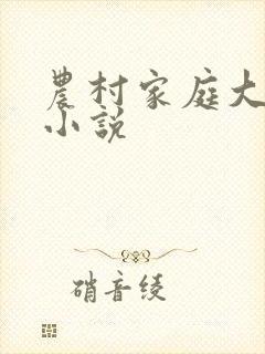 农村家庭大杂烩小说