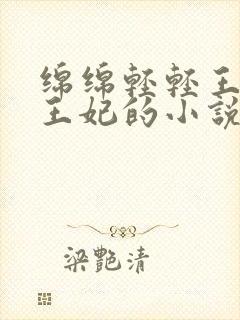 绵绵轻轻王爷与王妃的小说