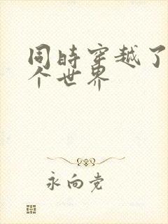 同时穿越了99个世界