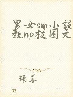 男女sm小说调教np校园文