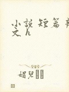 小说 短篇 辣文 h
