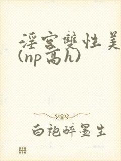 淫宫双性美人录(np高h)