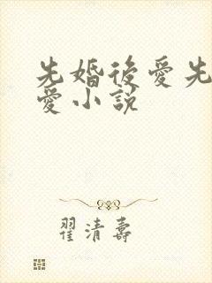 先婚后爱先婚后爱小说