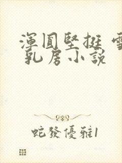 浑圆坚挺 雪白 乳房小说