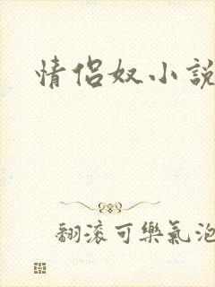 情侣奴小说