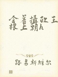 含着摄政王的紫根上朝h