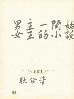 男主一开始厌恶女主的小说封面