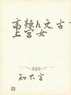 高辣h文古言皇上宫女