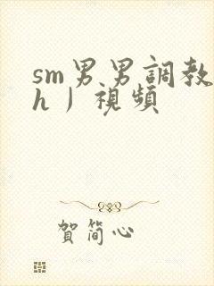 sm男男调教〈h丿视频