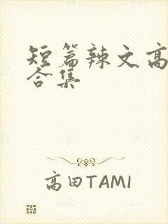 短篇辣文高h文合集