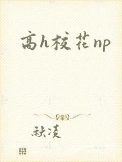 高h校花np