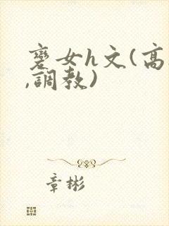 变女h文(高h,调教)