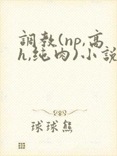 调教(np,高h,纯肉)小说