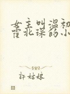 女主叫温初男主霍北琛的小说