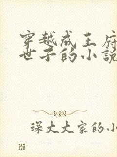 穿越成王府纨绔世子的小说