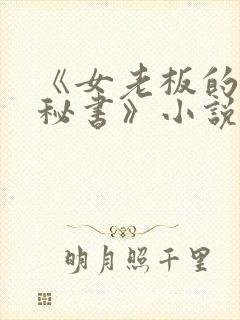 《女老板的贴身秘书》小说