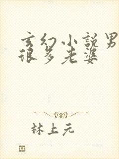 玄幻小说男主有很多老婆